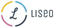 LISEO : Consultance - Matériel IT &amp; ERP